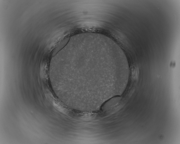 X0000110761060200907131204