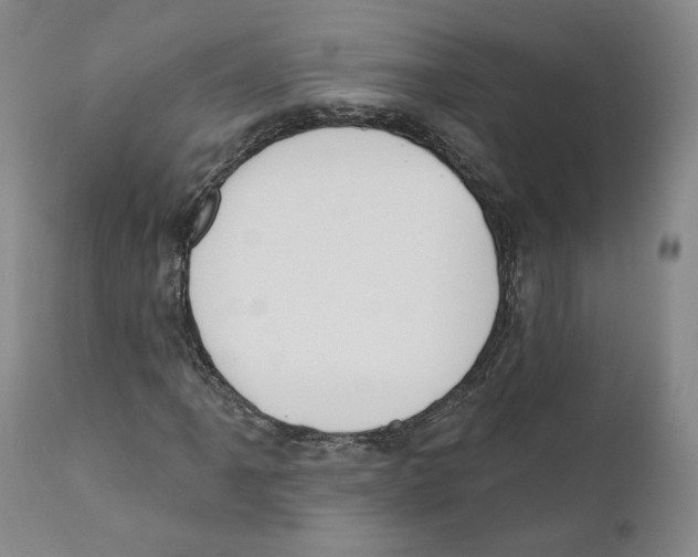 X0000110761061200907131204