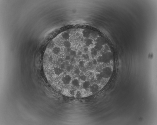 X0000110761063200907131204