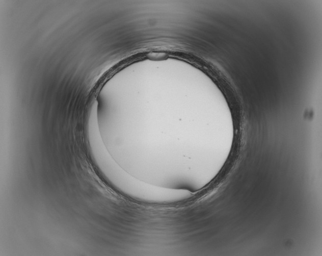 X0000110761065200907131204