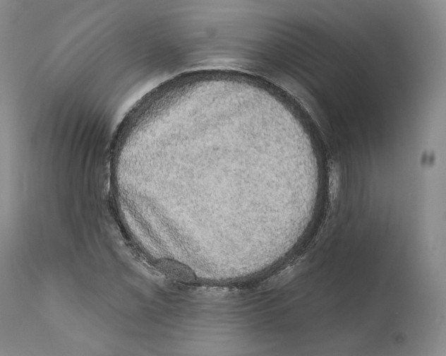 X0000110761069200907131204