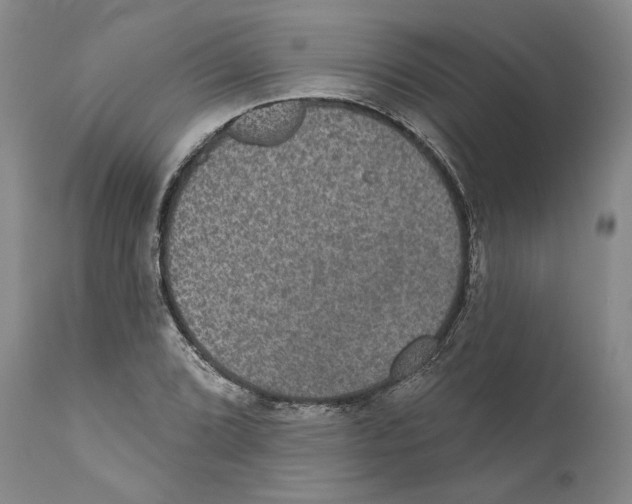 X0000110761072200907131204