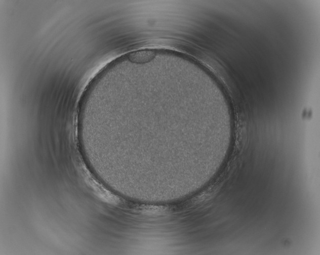 X0000110761076200907131204