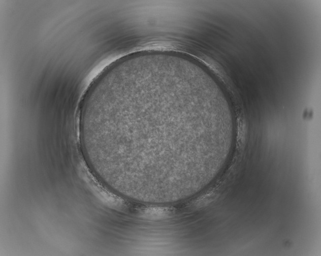 X0000110761078200907131204