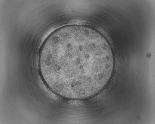 X0000110761083200907131204