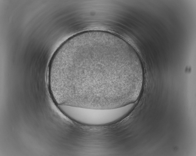 X0000110761084200907131204