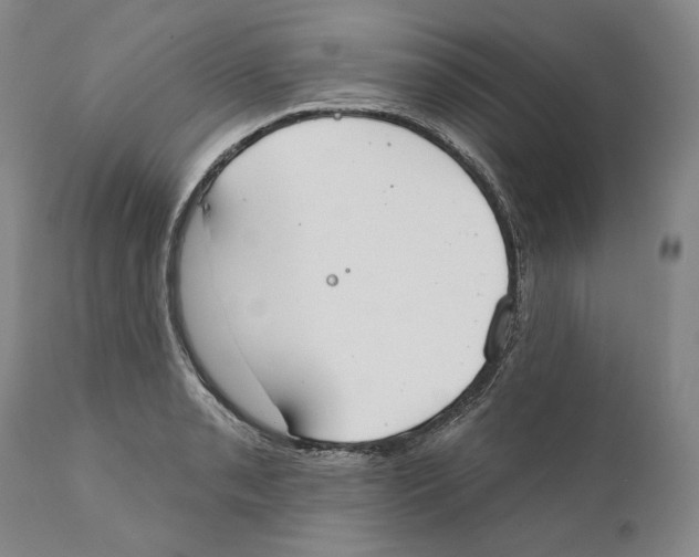 X0000110761085200907131204