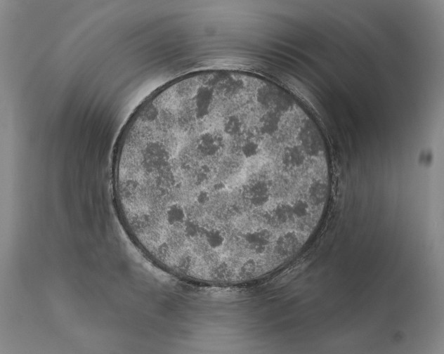 X0000110761087200907131204