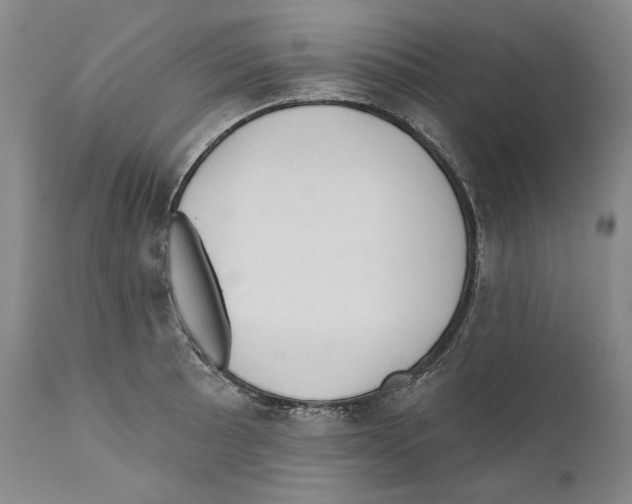 X0000110761089200907131204