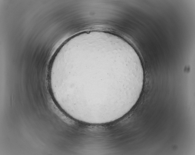 X0000110761091200907131204