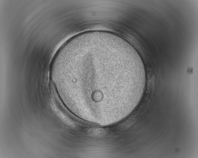 X0000110761092200907131204