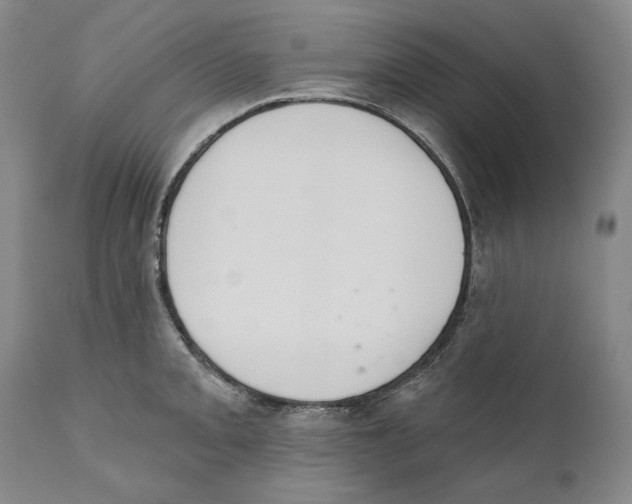 X0000110761093200907131204