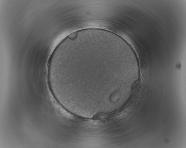 X0000110761096200907131204