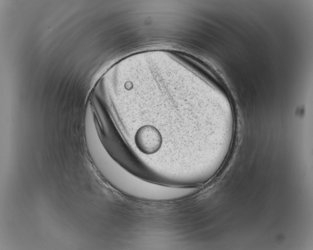 X0000110761097200907131204