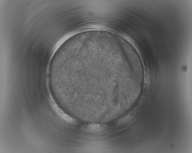 X0000110761098200907131204