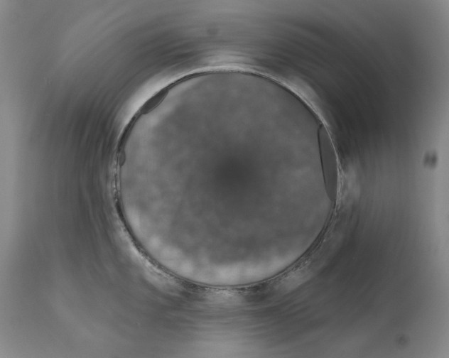 X0000110761101200907131204