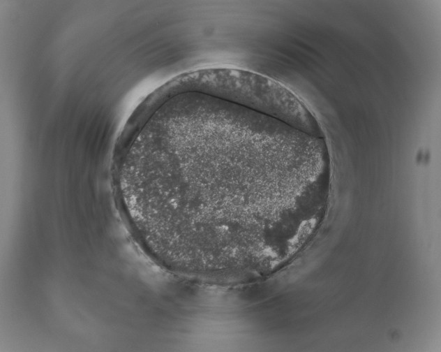 X0000110761104200907131204