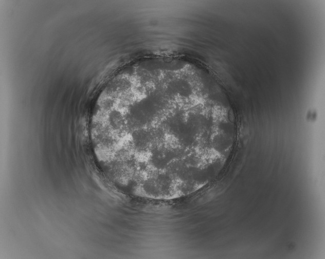 X0000110761106200907131203