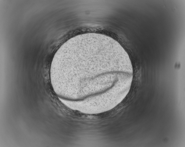 X0000110761109200907131203