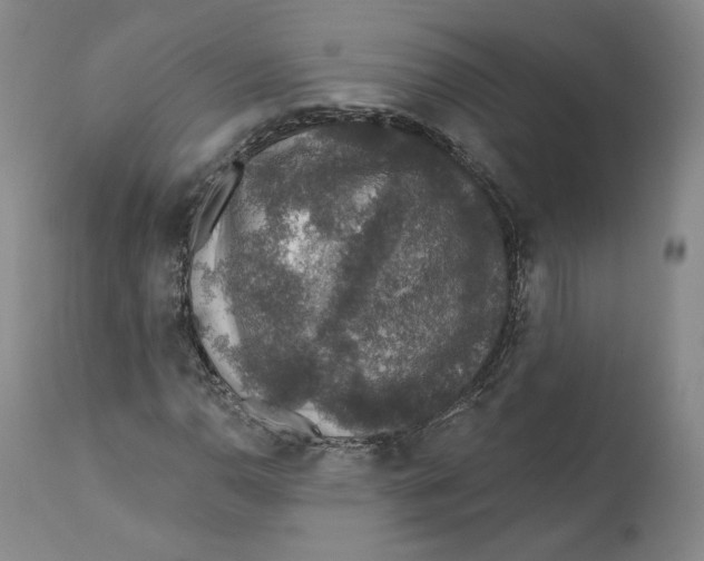 X0000110761110200907131203