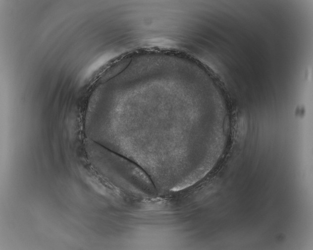 X0000110761112200907131203