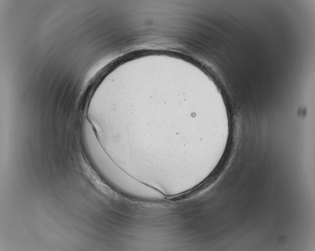 X0000110761114200907131203