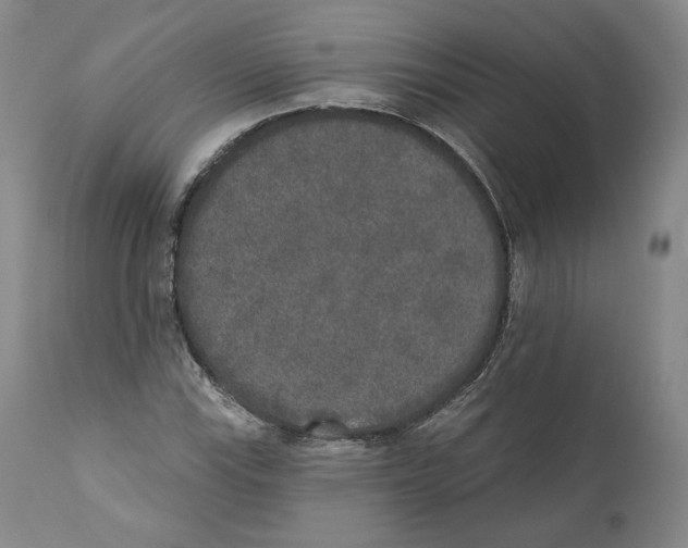 X0000110761115200907131203