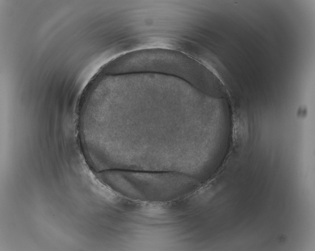 X0000110761116200907131203