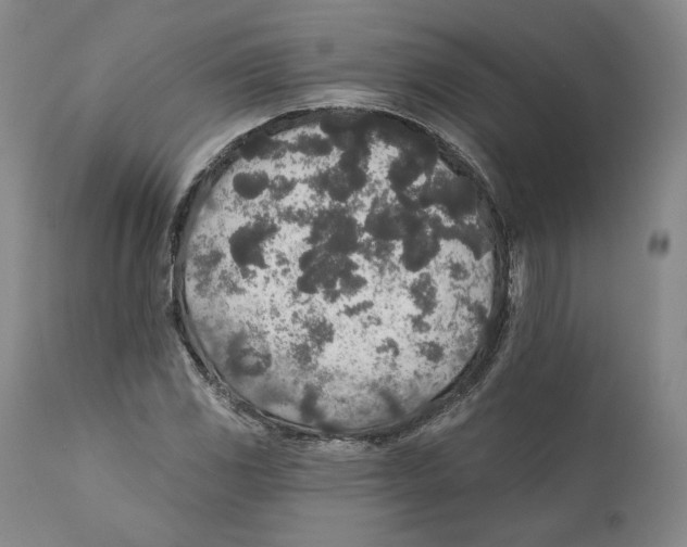 X0000110761117200907131203