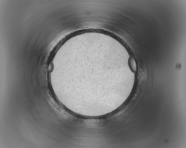 X0000110761118200907131203
