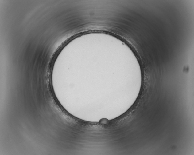 X0000110761119200907131203