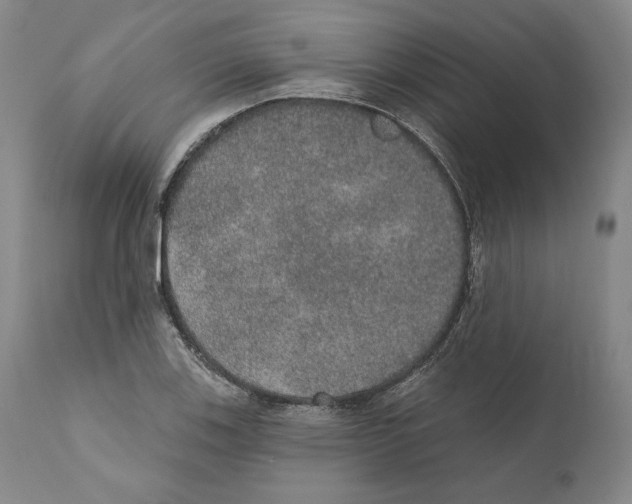 X0000110761123200907131203