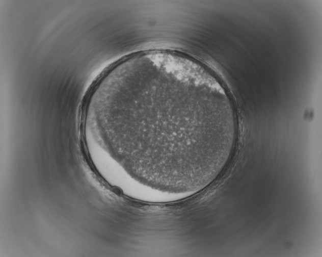 X0000110761124200907131203