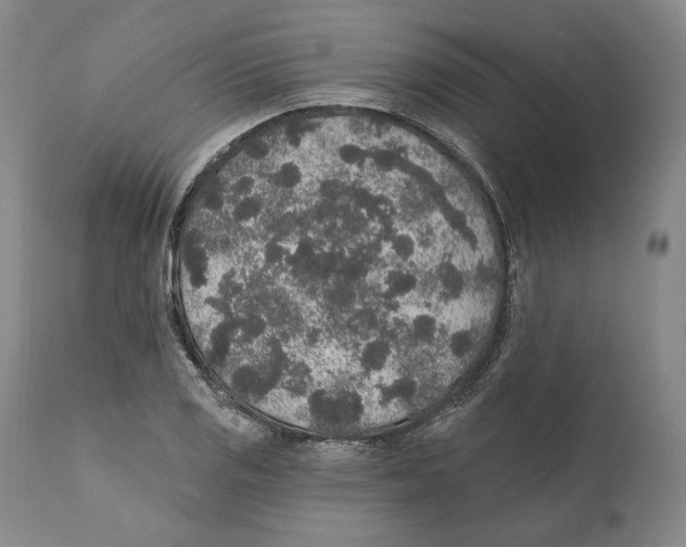 X0000110761125200907131203