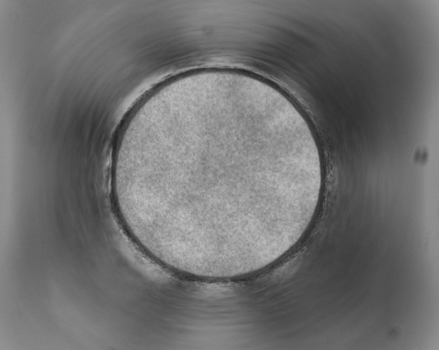 X0000110761126200907131203