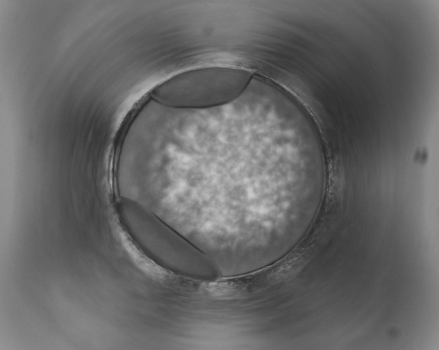 X0000110761128200907131203