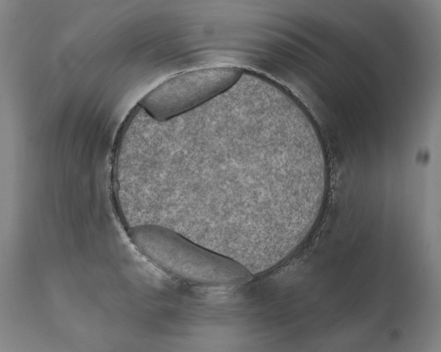 X0000110761134200907131203
