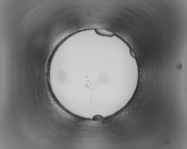 X0000110761135200907131203