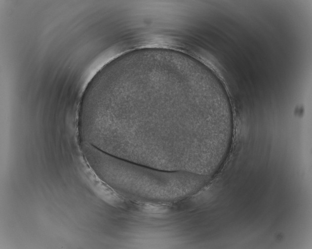 X0000110761138200907131203