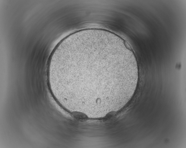 X0000110761142200907131203