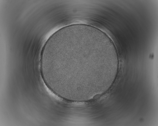 X0000110761143200907131203