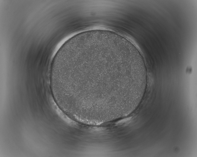 X0000110761148200907131204