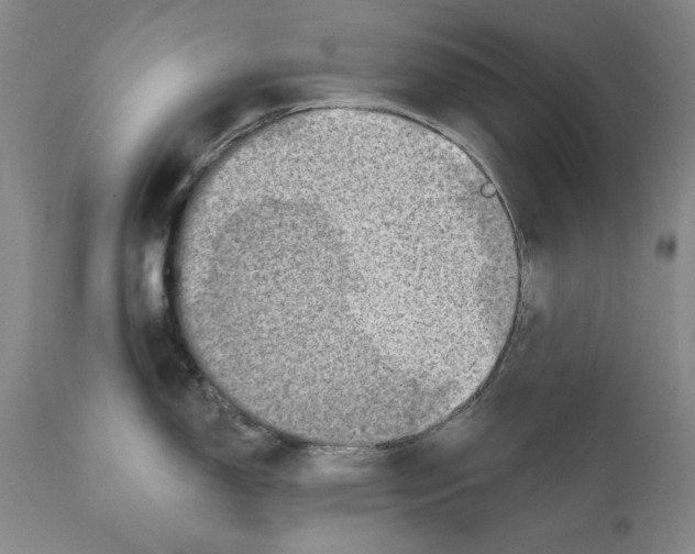 X0000110761150200907131204