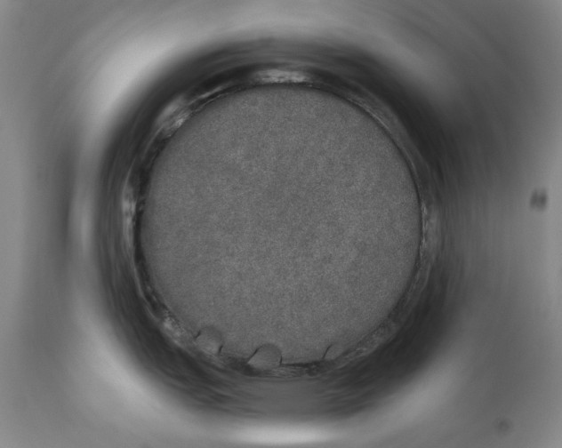 X0000110761151200907131204