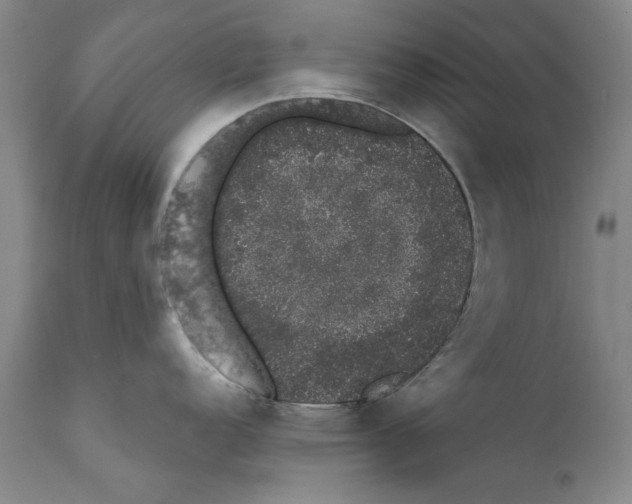 X0000110761152200907131204