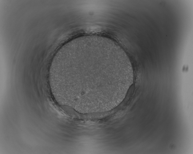 X0000110761153200907131203
