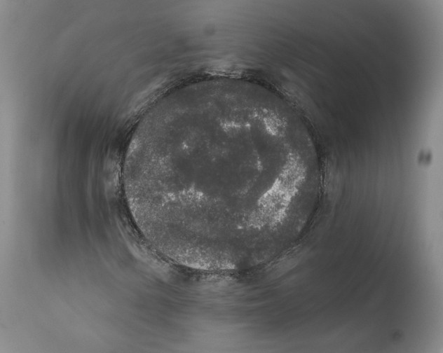 X0000110761154200907131203