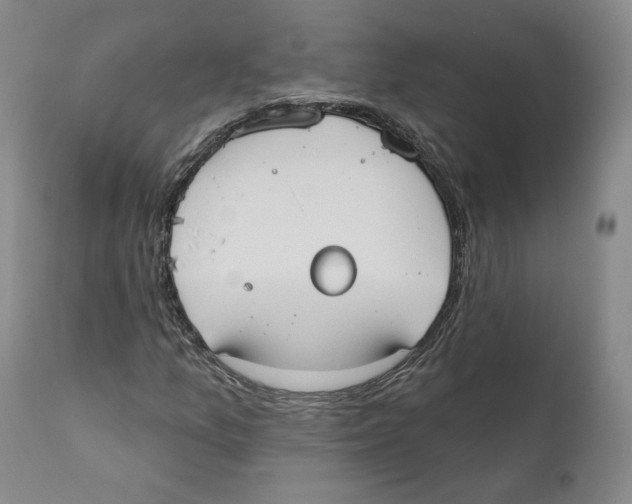 X0000110761157200907131203