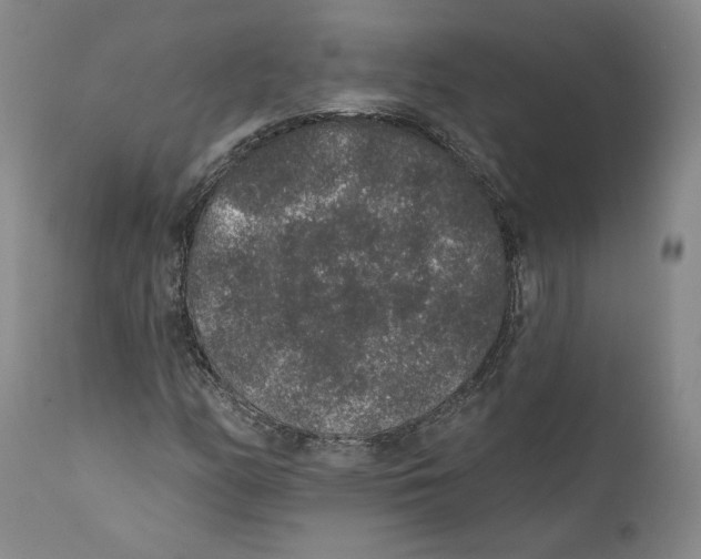 X0000110761158200907131203