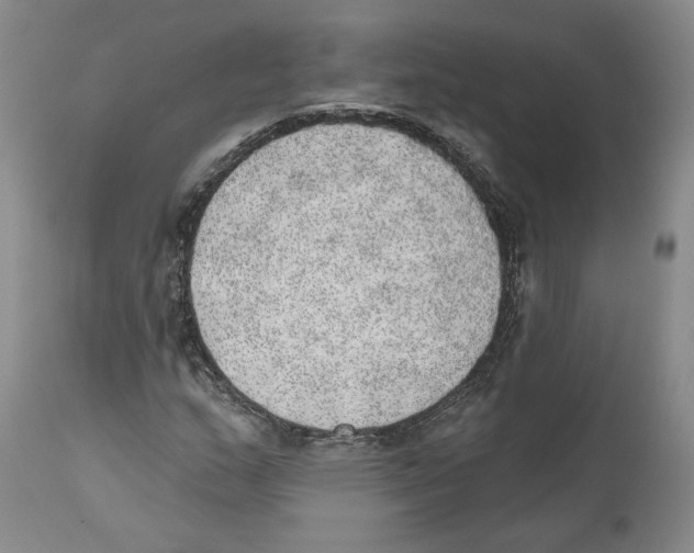 X0000110761159200907131203